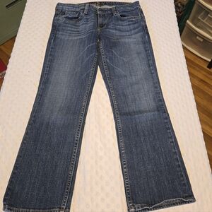 Big Star Women's Flare Jeans in Deep Blue